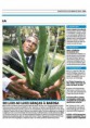 /album/forever-na-midia3/jornal-o-dia-do-lixo-ao-luxo-jpg/